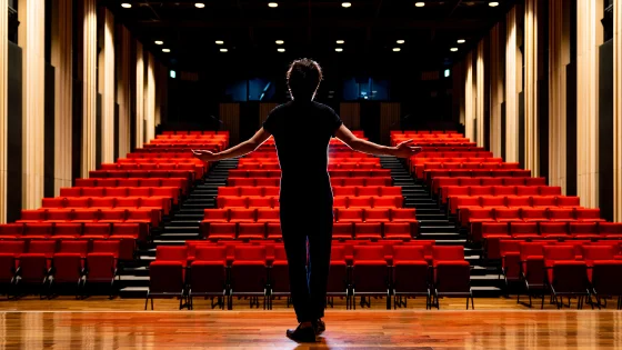 Перевозка артистов